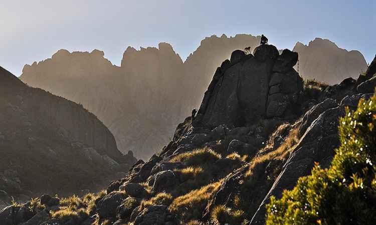 Adriana Mattoso/Parque Nacional de Itatiaia/Divulgação Adriana Mattoso/Parque Nacional de Itatiaia/Divulgação