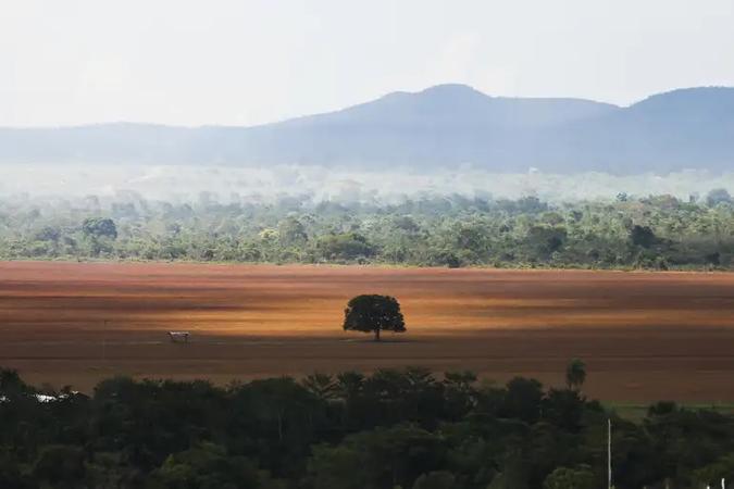 A maior parte do cenrio modificado recebeu o uso de pastagem, com 62,7 milhes de hectares, e agricultura, com outros 44 milhes(foto: Marcelo Camargo/Agncia Brasil)