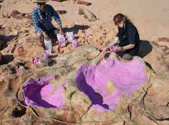 Cientistas encontraram nada menos que 150 pegadas de dinossauros no noroeste da Austrália. Esta é a maior descoberta da arqueologia nesse país da Oceania(foto: Steven W. Salisbury/EFE/Divulgação)