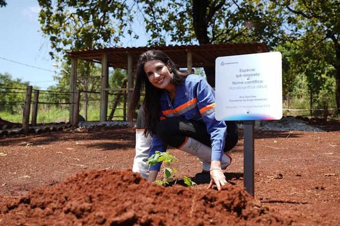 Ana Sanches no viveiro de mudas da mineradora em Gois, um dos seus projetos prediletos na Anglo American, que h 12 anos j apresentava uma abordagem diferenciada, focada em responsabilidade social, sustentabilidade, questes ambientais e inovao: 