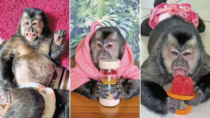 Ol�via tem mais de 1,6 milh�o de seguidores no Instagram e 1,5 milh�o no TikTok(foto: Divulga��o)