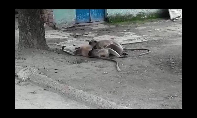 YouTube/Daily Mail/Reprodução YouTube/Daily Mail/Reprodução