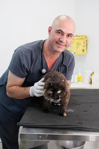 Nélio Rodrigues, médico-veterinário da Clínica Montreal Vet: Nélio Rodrigues, médico-veterinário da Clínica Montreal Vet: