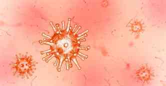 Estudo realizado na Unicamp descobriu que o zika vrus pode ser usado para tratar o glioblastoma, um tipo maligno de cncer no crebro que afeta adultos(foto: Pixabay)