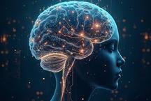 Pressa constante e excesso de tarefas adoecem o c�rebro