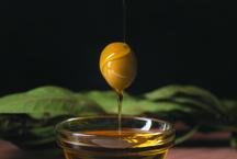 Ana Beloto: a curiosidade que moldou uma especialista em azeite