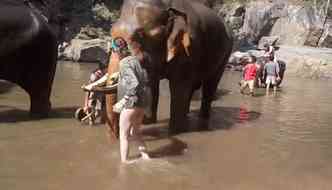 Na hora em que a turista americana Whitney Lavaux foi acariciar um elefante em suas frias na Tailndia, acabou sendo arremessada longe pelo animal(foto: YouTube/Whitney Lavaux/Reproduo)