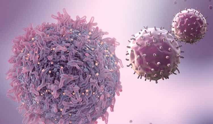 Twitter/novartiscancer/Reprodução Twitter/novartiscancer/Reprodução