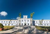 Vila Gal� cresce 20% no Brasil e fatura R$ 807 milh�es em 2025