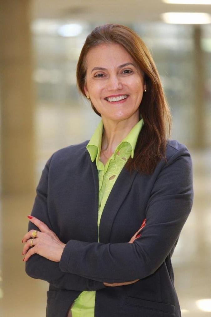 Ieda Vasconcelos, economista-chefe do Sinduscon-MG (foto: Sinduscon-MG/Divulga��o )