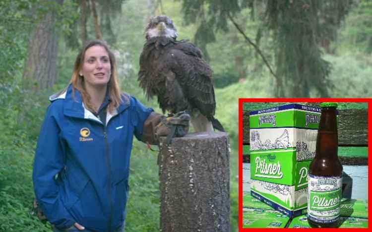 YouTube/Reprodução e Facebook/phillipsbeer/Reprodução YouTube/Reprodução e Facebook/phillipsbeer/Reprodução