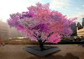 Perspectiva em 3D mostra como  exuberante o florescimento da rvore, devido s diferentes espcies de frutas, com tons de vermelho, rosa e lils(foto: Treeof40fruit.com/Reproduo)