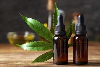 Cannabis medicinal amplia tratamentos, mas acesso ainda enfrenta barreiras
