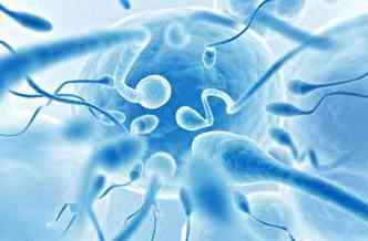 Especialista esclarece dvidas sobre fertilidade do homem, como, por exemplo, se as varizes nos testculos so sinal do problema(foto: Chronobiology.com/Reproduo)