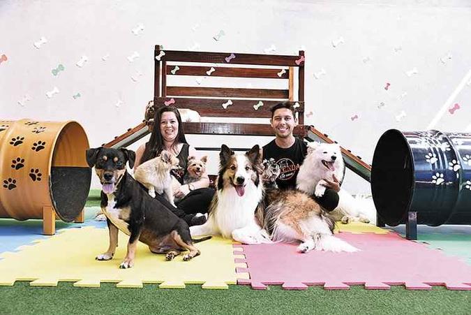 No Vivenda Pet Care os cães se divertem no day care e no hotelzinho, com atividades recreativas, passeios e muito chamego. No Vivenda Pet Care os cães se divertem no day care e no hotelzinho, com atividades recreativas, passeios e muito chamego.