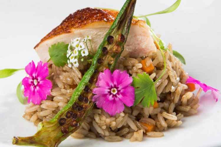 Latin America Restaurants/divulgação Latin America Restaurants/divulgação