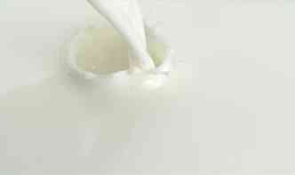 O clcio presente no leite e em seus derivados ajuda a desintoxicar o organismo contra o chumbo, um perigoso metal pesado(foto: Pexels)